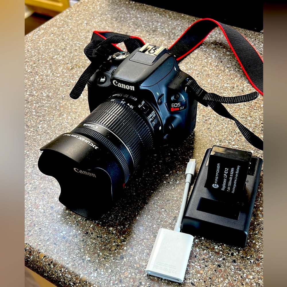 Canon Rebel SL1 touch screen. Works great!